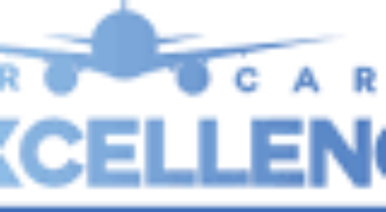 Voting has begun for the 2019 Air Cargo Excellence Awards – Air Cargo World