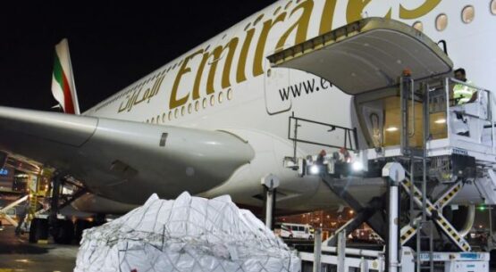 Grand job: how Emirates transported Australia’s first piano