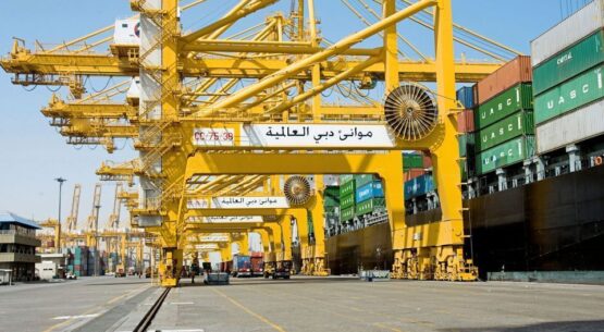 DP World to upgrade, maintain Eritrean Ports